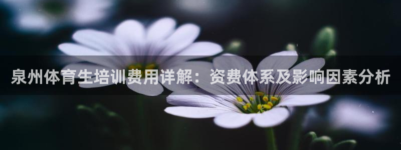 尊龙手机客户端下载：泉州体育生培训费用详解：资费体系