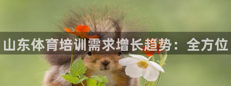 凯时官网app下载官方网站：山东体育培训需求增长趋势