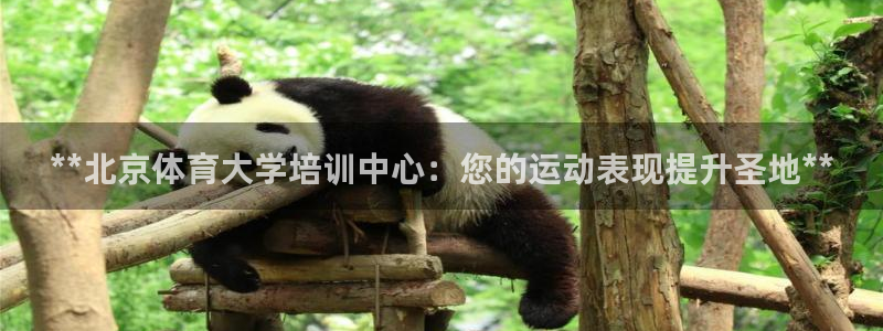 尊龙凯时v7要冲多少：**北京体育大学培训中心：您的