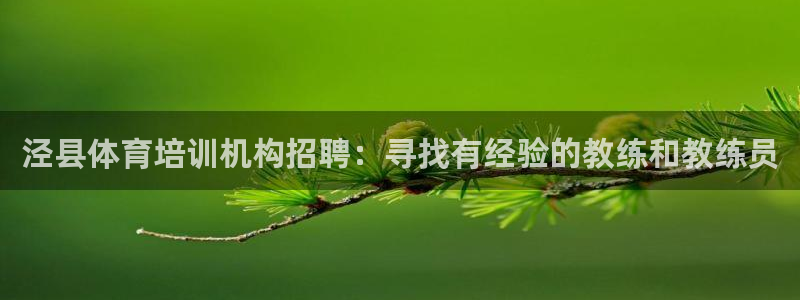 尊龙凯时企业文化：泾县体育培训机构招聘：寻找有经验的