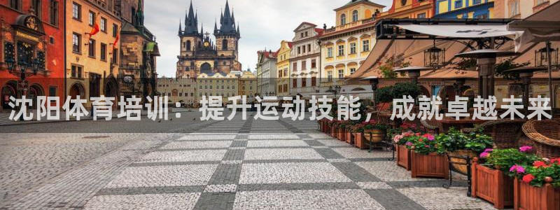 尊龙手机版下载：沈阳体育培训：提升运动技能，成就卓越