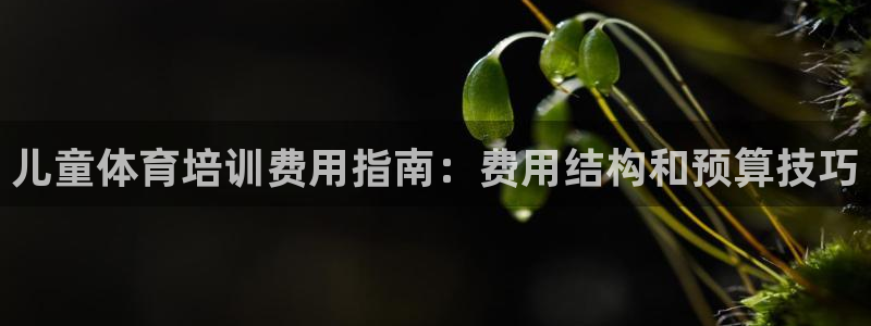 尊龙科技：儿童体育培训费用指南：费用结构和预算技巧
