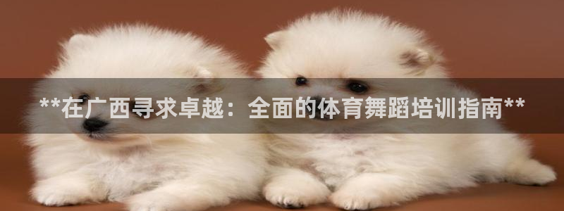 尊龙凯时白家乐：**在广西寻求卓越：全面的体育舞蹈培