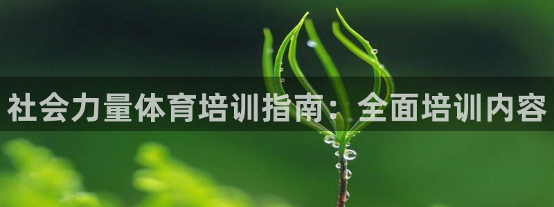 z6com尊龙凯时百家乐：社会力量体育培训指南：全面