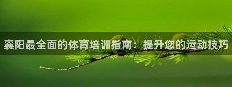 尊龙d88官网QU来就送38：襄阳最全面的体育培训指