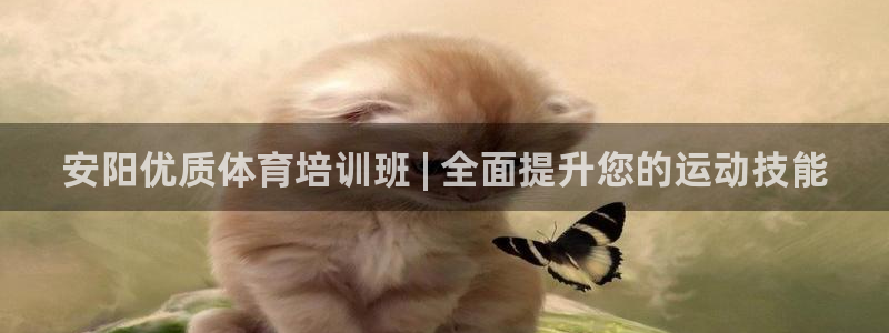 尊龙凯时取钱很慢：安阳优质体育培训班 | 全面提升您