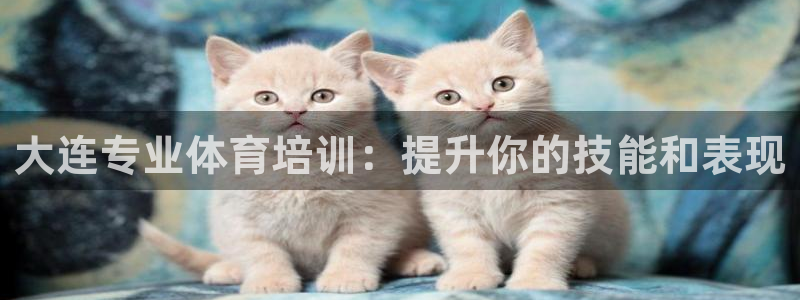 尊龙实业有限公司属于国企吗：大连专业体育培训：提升你