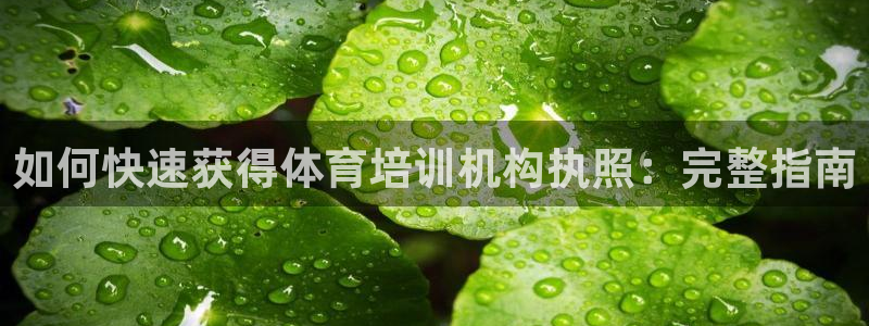 尊龙新版人生就是博!：如何快速获得体育培训机构执照：