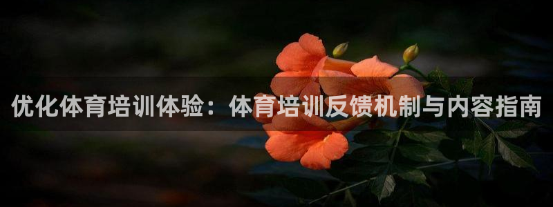 尊龙app官网登录：优化体育培训体验：体育培训反馈机