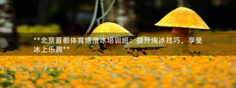 尊龙500价格：**北京首都体育馆滑冰培训班：提升滑