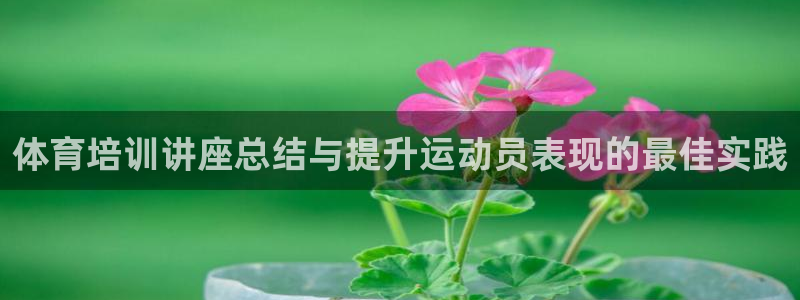 尊龙凯时为什么输了钱：体育培训讲座总结与提升运动员表