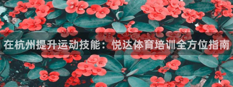 尊龙凯时 - 人生就是搏手机登录：在杭州提升运动技能