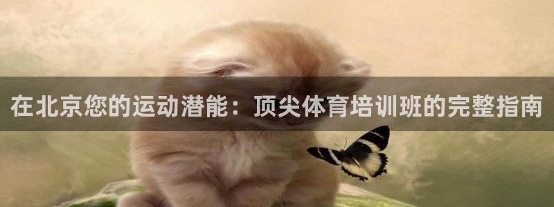 z6尊龙官网：在北京您的运动潜能：顶尖体育培训班的完