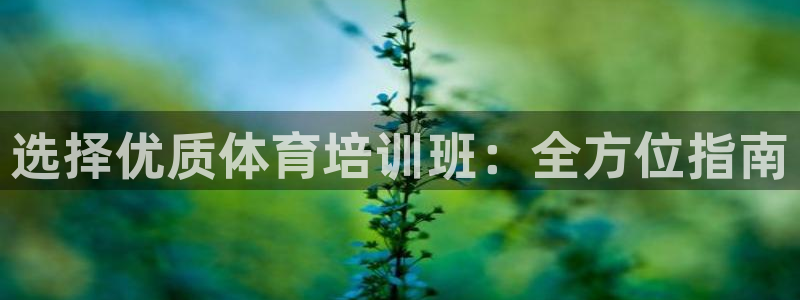 z6尊龙z6：选择优质体育培训班：全方位指南