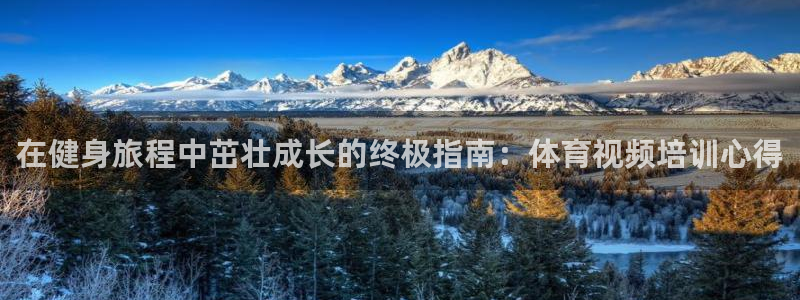 尊龙官方平台是正品吗：在健身旅程中茁壮成长的终极指南