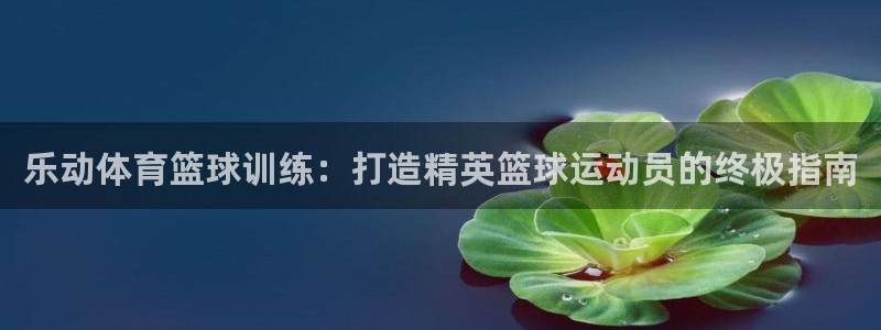 AG尊龙注册在线游戏：乐动体育篮球训练：打造精英篮球