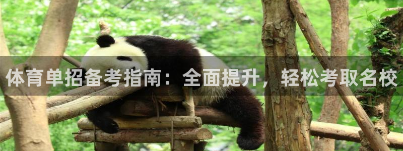 尊龙z6网址：体育单招备考指南：全面提升，轻松考取名