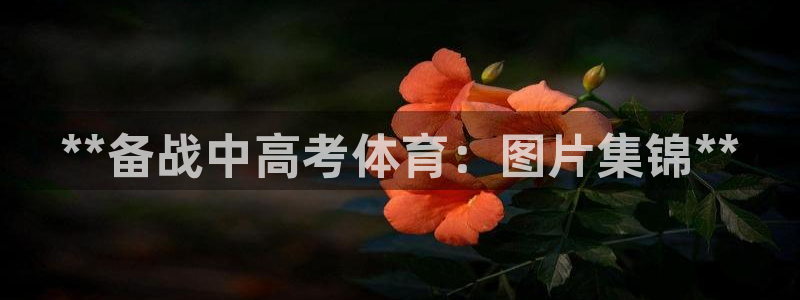 尊龙凯时人生就是博·(中国)官网官：**备战中高考体