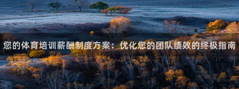 尊龙凯时是哪个国家的：您的体育培训薪酬制度方案：优化