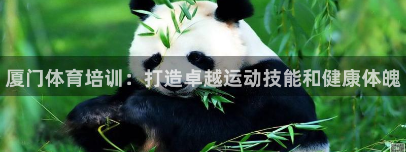尊龙集团有限公司是国企吗：厦门体育培训：打造卓越运动