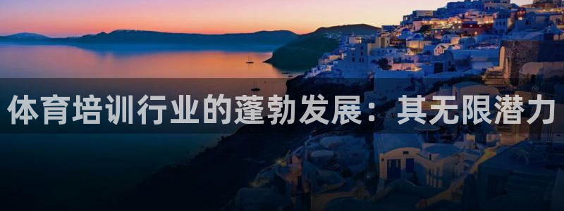 尊龙凯时人生就是搏官：体育培训行业的蓬勃发展：其无限