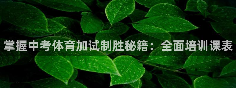 尊龙凯时官网首页：掌握中考体育加试制胜秘籍：全面培训