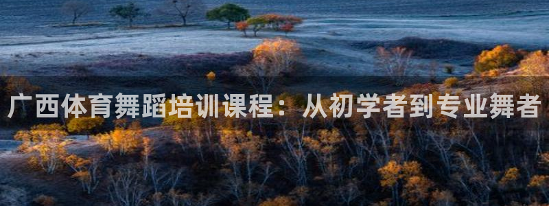 凯时平台app：广西体育舞蹈培训课程：从初学者到专业