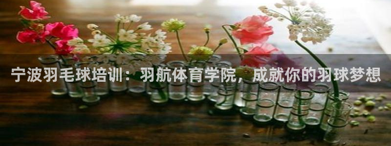尊龙官方app下载：宁波羽毛球培训：羽航体育学院，成
