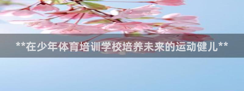 凯时国际平台有人赢吗：**在少年体育培训学校培养未来