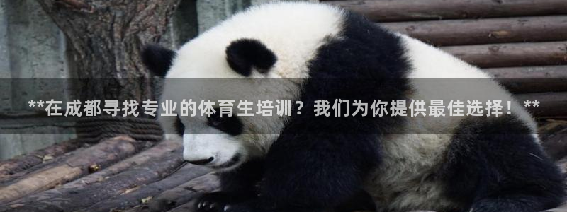 尊龙凯时账号异常审核提不了款怎么办：**在成都寻找专