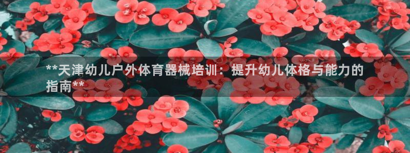 尊龙d88ag旗舰厅：**天津幼儿户外体育器械培训：