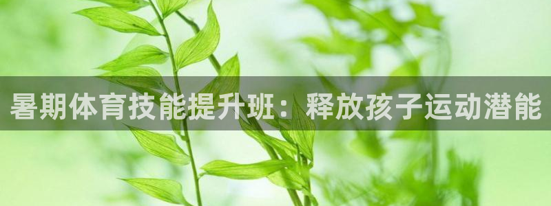 尊龙-人生就是博!：暑期体育技能提升班：释放孩子运动