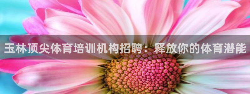 尊龙手机端下载：玉林顶尖体育培训机构招聘：释放你的体