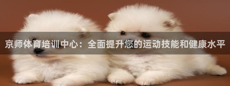 尊龙游戏官网：京师体育培训中心：全面提升您的运动技能