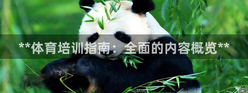 尊龙凯时法拉币：**体育培训指南：全面的内容概览**