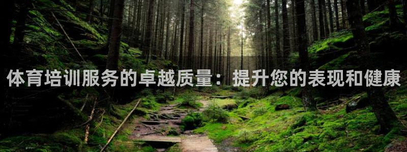 尊龙凯时官网平台：体育培训服务的卓越质量：提升您的表