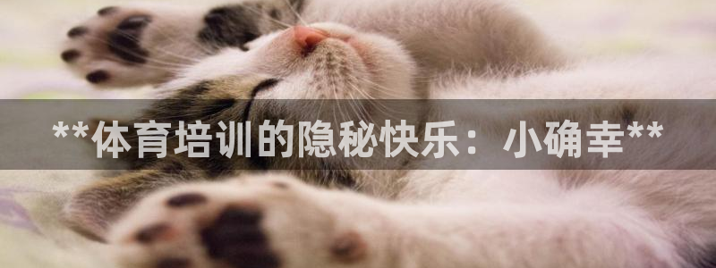 尊龙凯时百家乐手机下载：**体育培训的隐秘快乐：小确