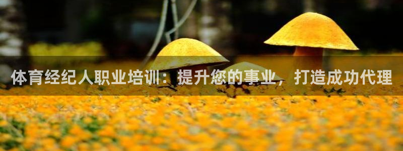 尊龙ag旗舰：体育经纪人职业培训：提升您的事业，打造