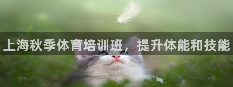 尊龙—人生就是博：上海秋季体育培训班，提升体能和技能