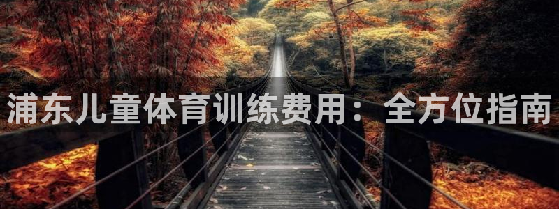 尊龙凯时人生就是搏官：浦东儿童体育训练费用：全方位指