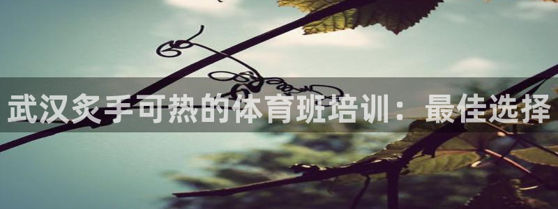 z6尊龙凯时集团：武汉炙手可热的体育班培训：最佳选择