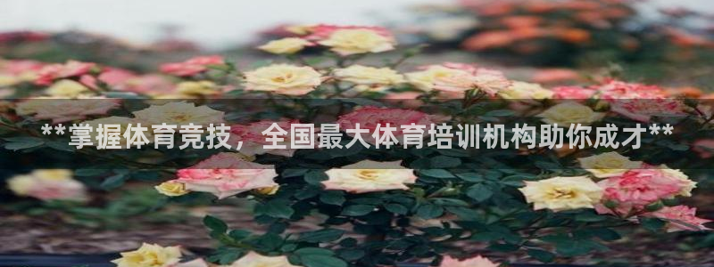 尊龙人生手机版都去ag发财网：**掌握体育竞技，全国