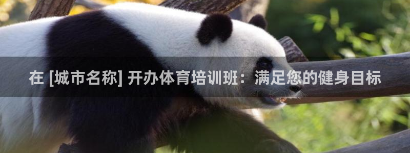 尊龙人生就是博旧版现金娱乐一下：在 [城市名称] 开