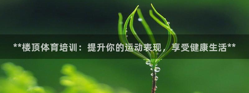 尊龙凯时公司官网：**楼顶体育培训：提升你的运动表现