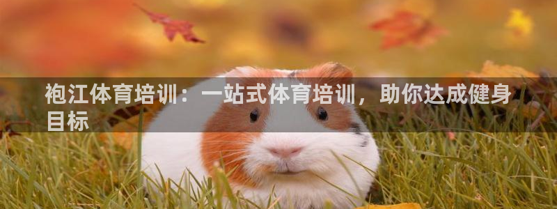 尊龙官网手机版：袍江体育培训：一站式体育培训，助你达