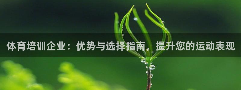 尊龙集团：体育培训企业：优势与选择指南，提升您的运动