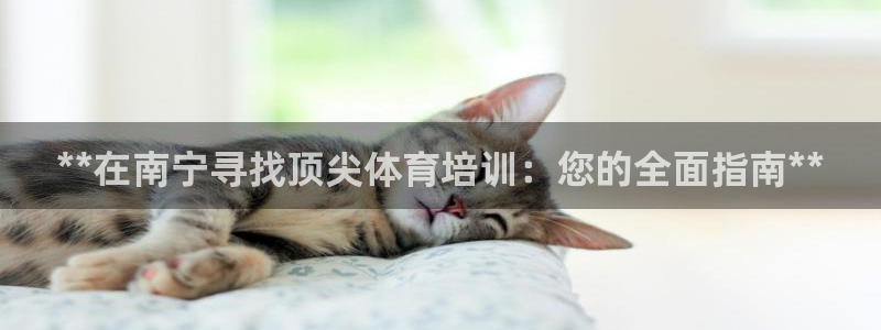 尊龙凯时不给提现怎么办：**在南宁寻找顶尖体育培训：
