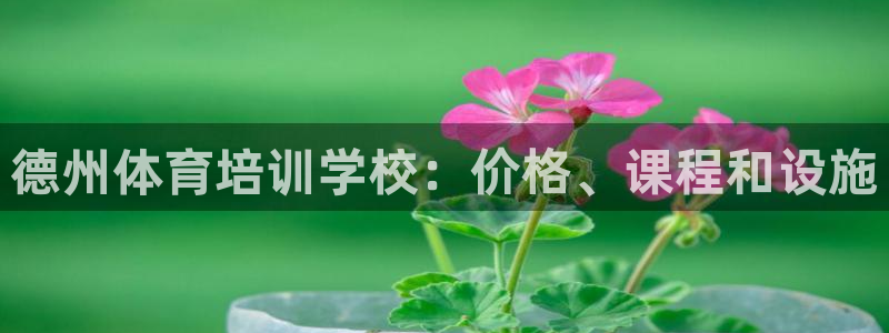 尊龙凯时的钱能退回来吗：德州体育培训学校：价格、课程