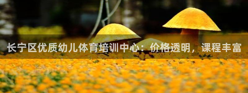 尊龙d88皆选ag发财网：长宁区优质幼儿体育培训中心