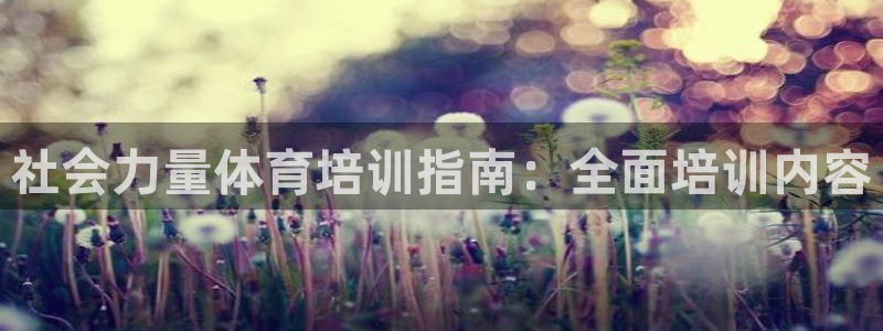 尊龙ag旗舰厅官网·(中国)官方入口：社会力量体育培